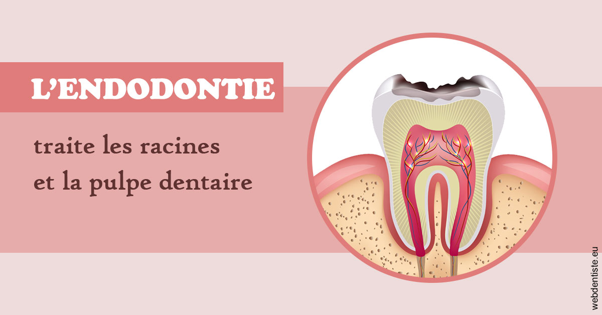 https://dr-simon-helene.chirurgiens-dentistes.fr/L'endodontie 2