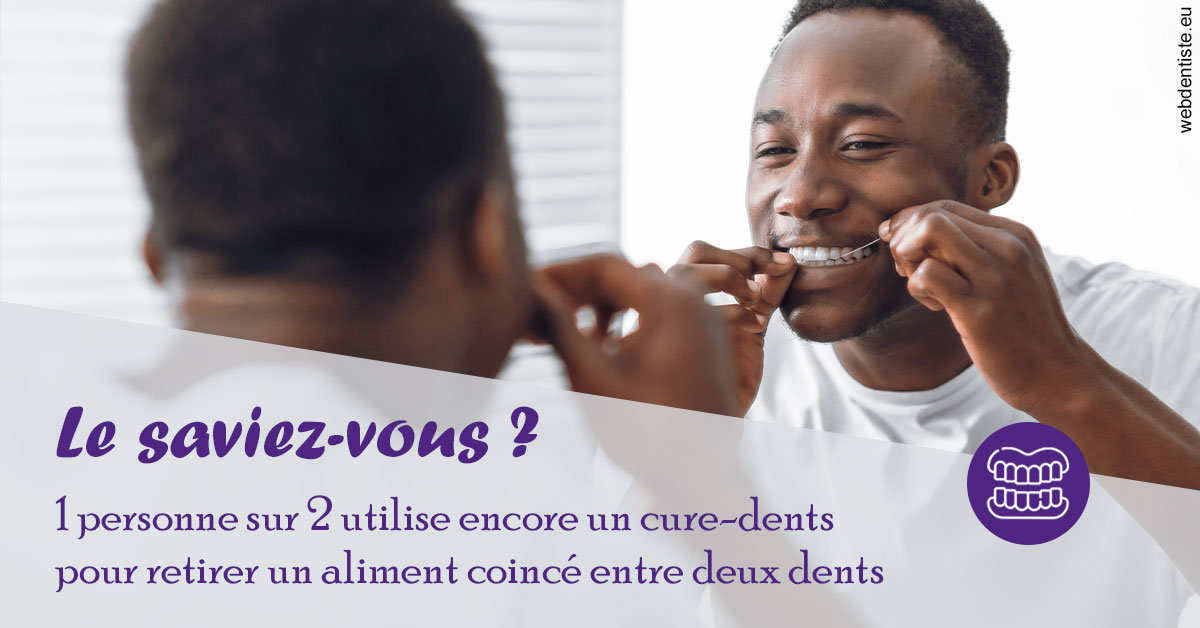 https://dr-simon-helene.chirurgiens-dentistes.fr/Cure-dents 2