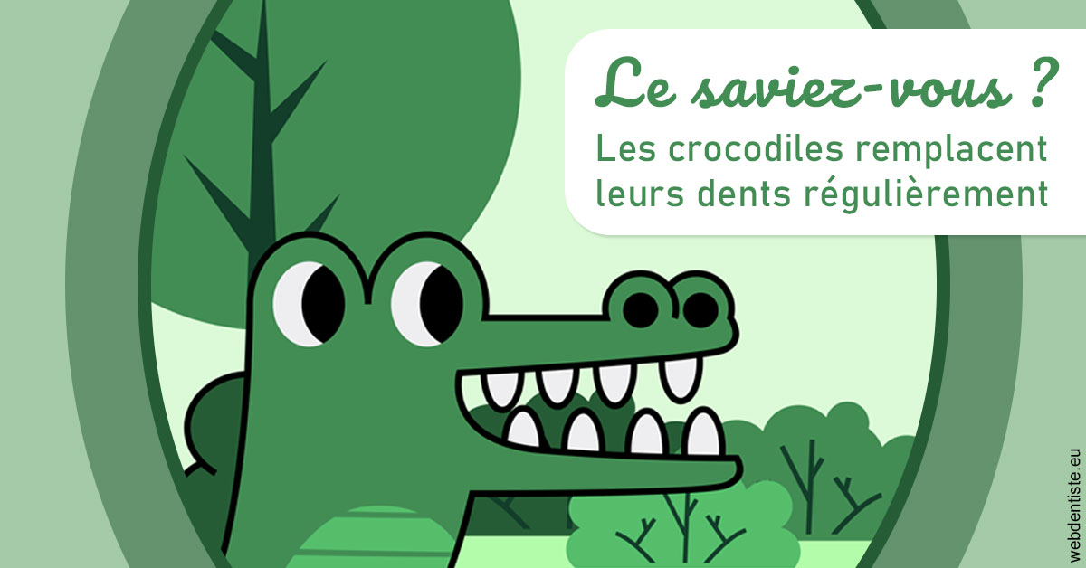 https://dr-simon-helene.chirurgiens-dentistes.fr/Crocodiles 2