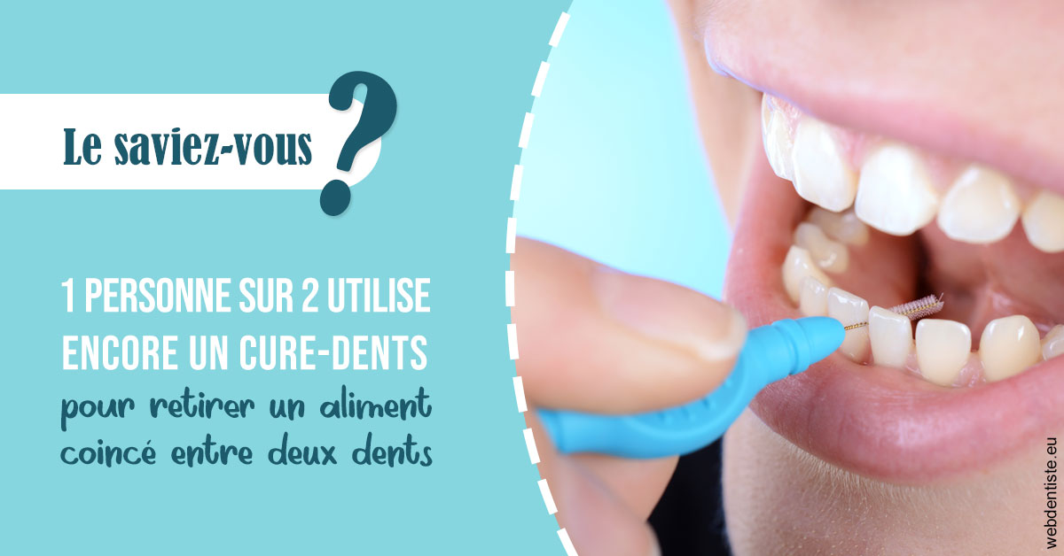 https://dr-simon-helene.chirurgiens-dentistes.fr/Cure-dents 1